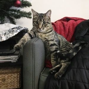 Meet your Posher, Kristina